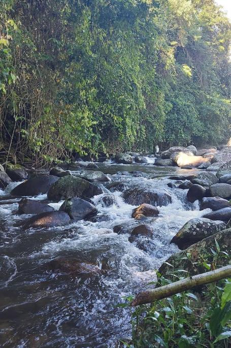Cantinho Na Natureza Paraty Bagian luar foto